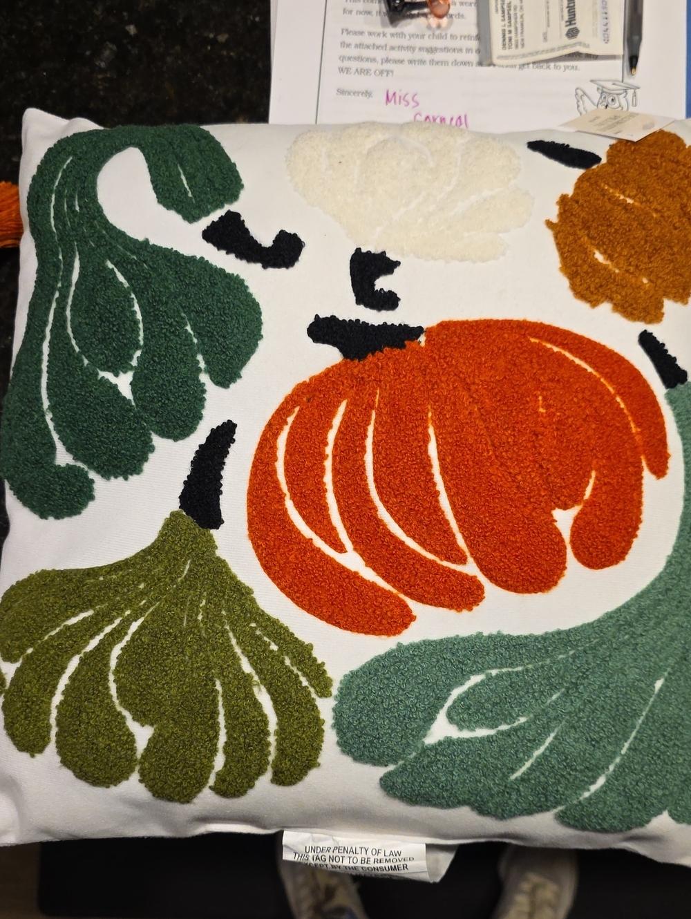 Decorative Pillows For Fall.            4/$40